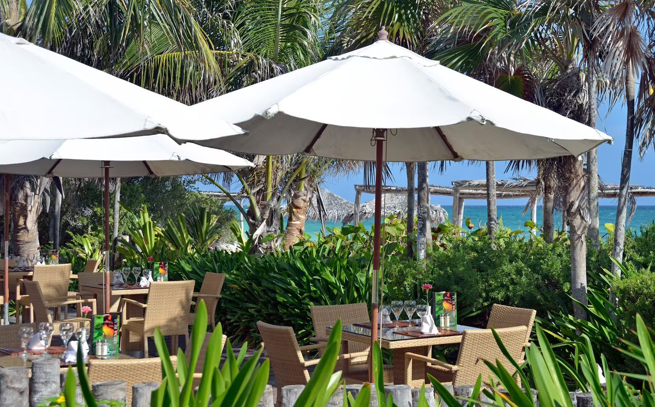 Melia Cayo Coco (Adults Only 18+) фото 69