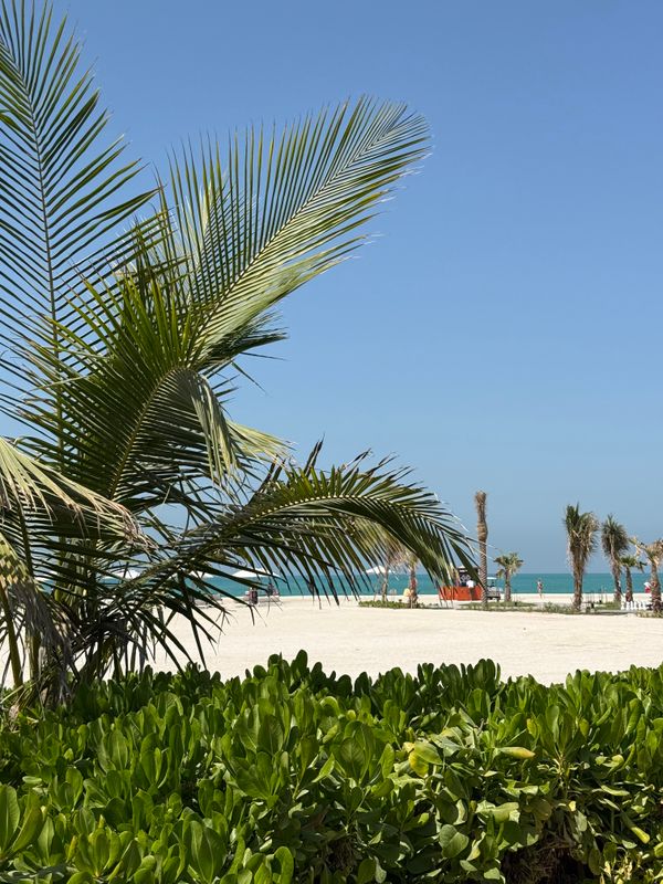 Sofitel Al Hamra Beach Resort фото 53