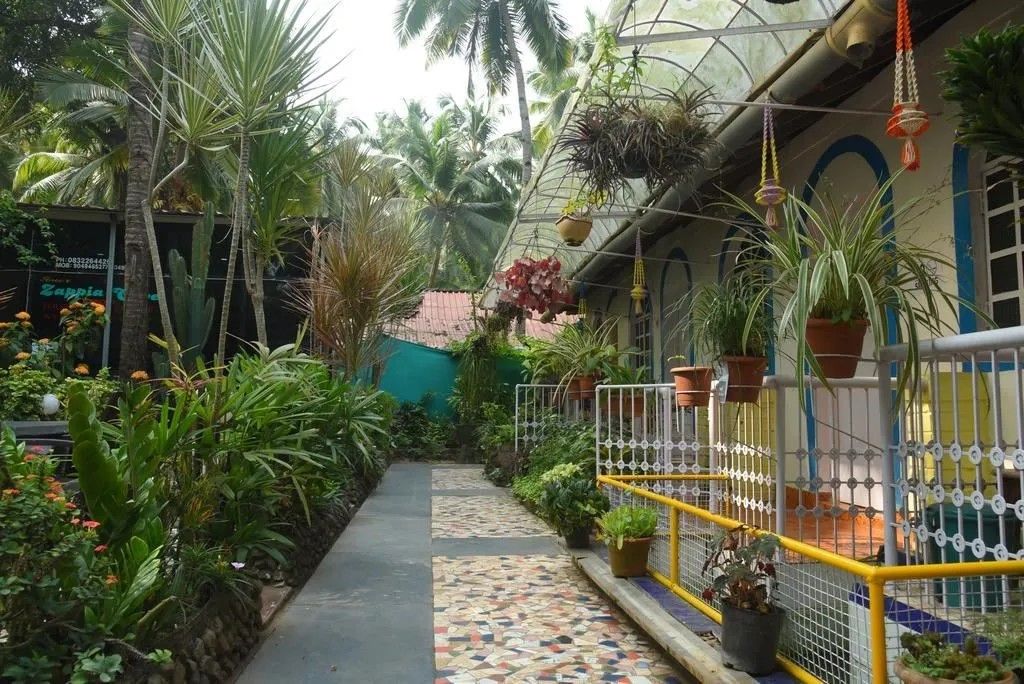 Guest House «Zappia Cove Guesthouse» фото 2