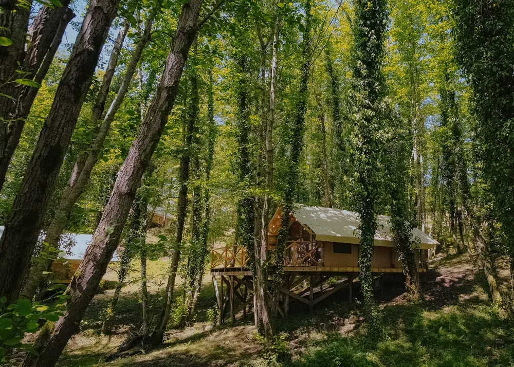 Garuda Glamping Abkhazia фото 47