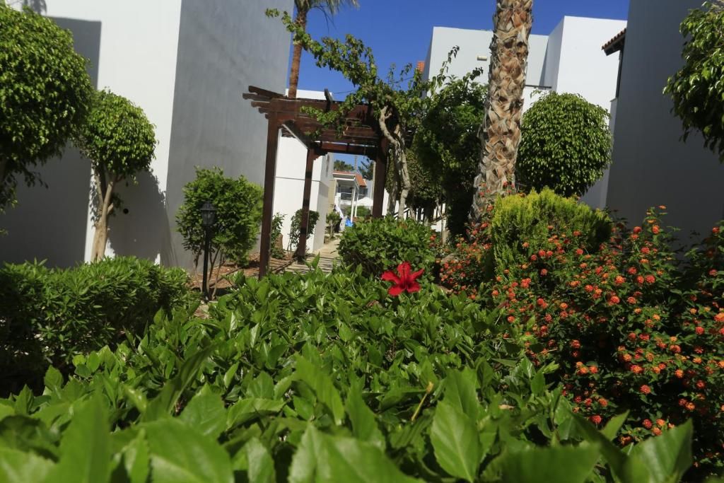 Aqua Sol Holiday Village фото 23