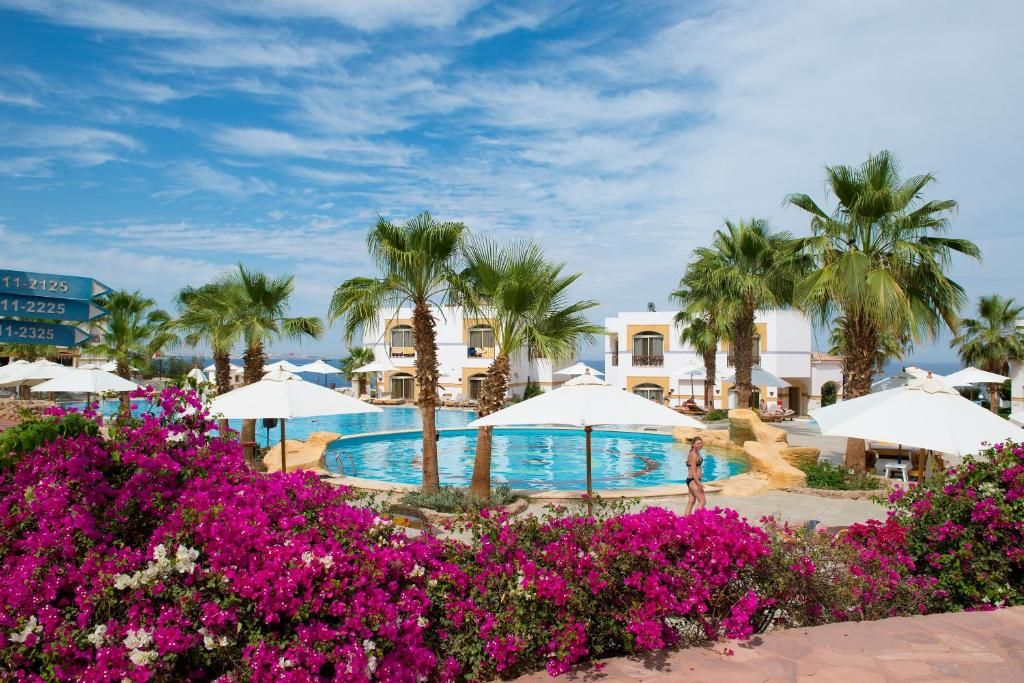 Amphoras Blu Hotel (Adults Only) фото 44