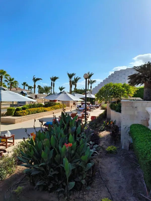 Sheraton Sharm Hotel, Resort, Villas & Spa фото 68