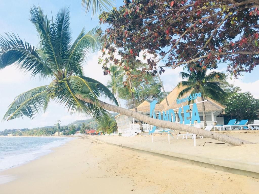 Sand Sea Beach Resort фото 43