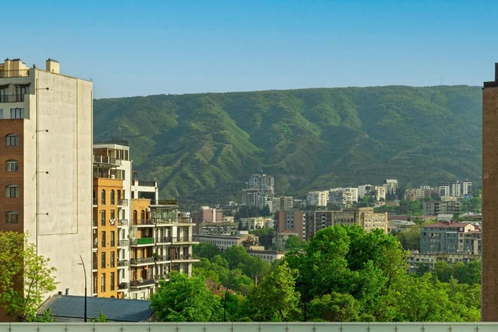 Sheraton Grand Tbilisi Metechi Palace фото 54