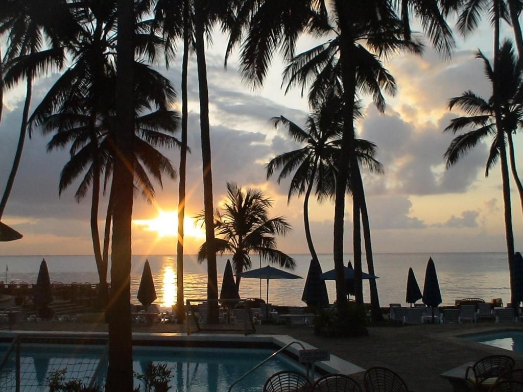 Kenya Bay Beach фото 11