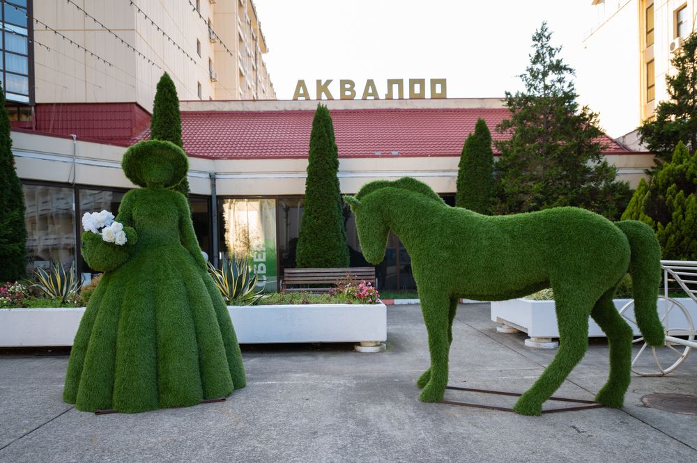 Санаторно-курортный комплекс «КСКК «АкваЛоо»» фото 110