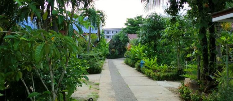 Фото отеля The Krabi Forest Homestay