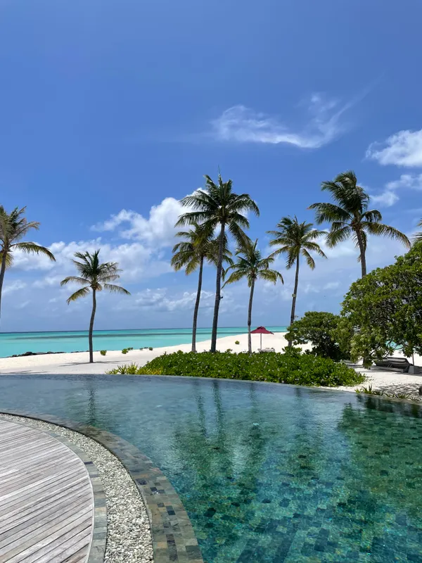 Melia Whale Lagoon Maldives фото 59