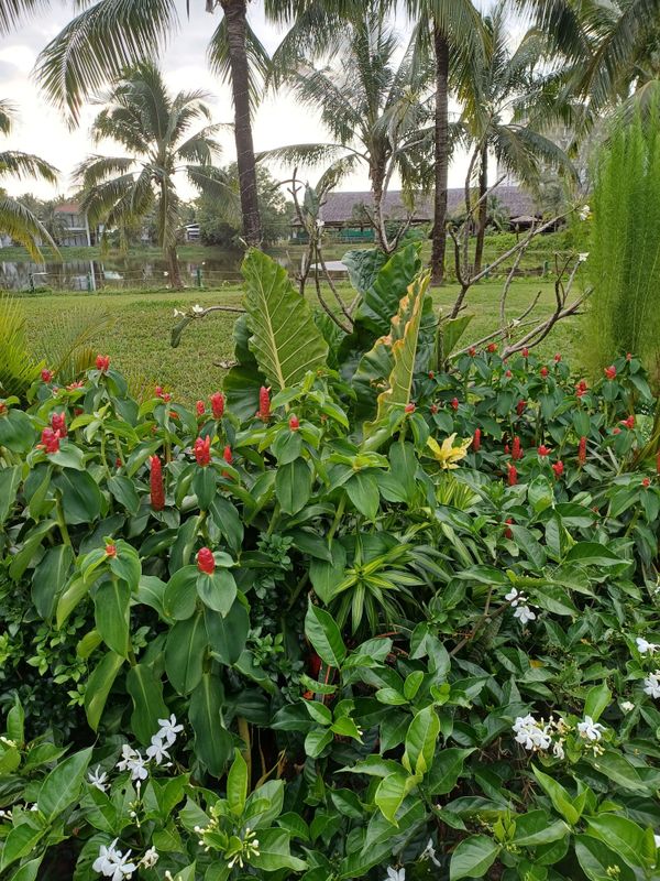 Sheraton Phu Quoc Long Beach Resort фото 29