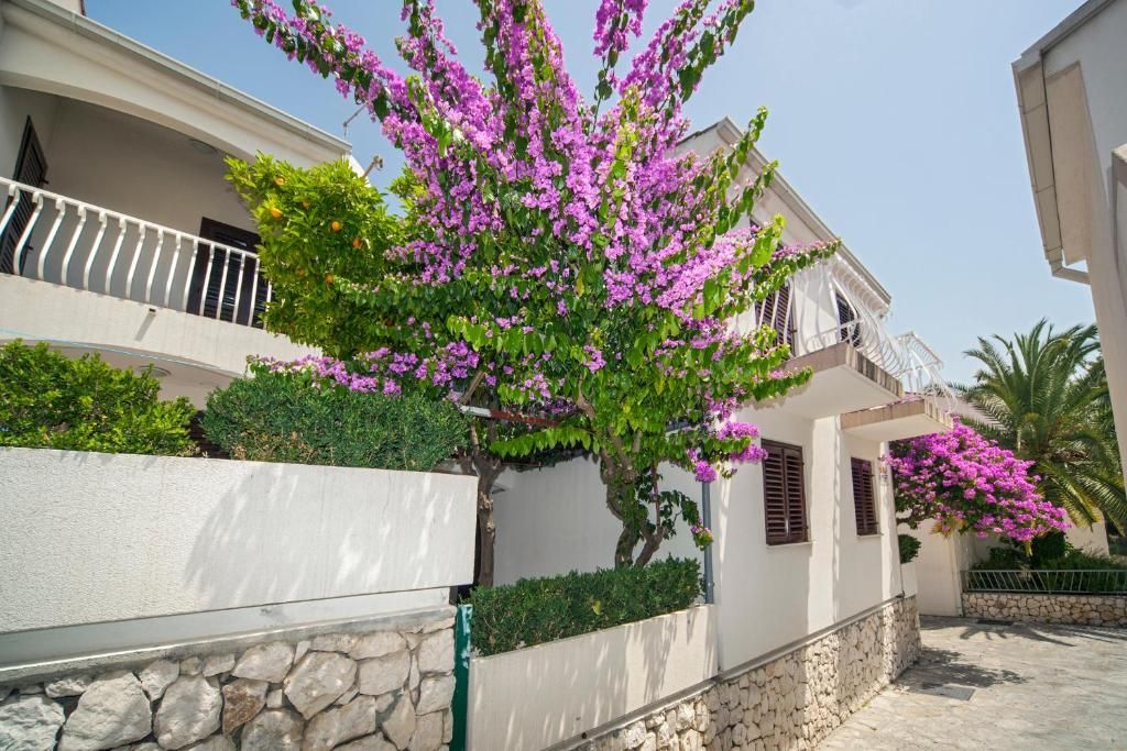 Beach Apartments Lavica фото 10