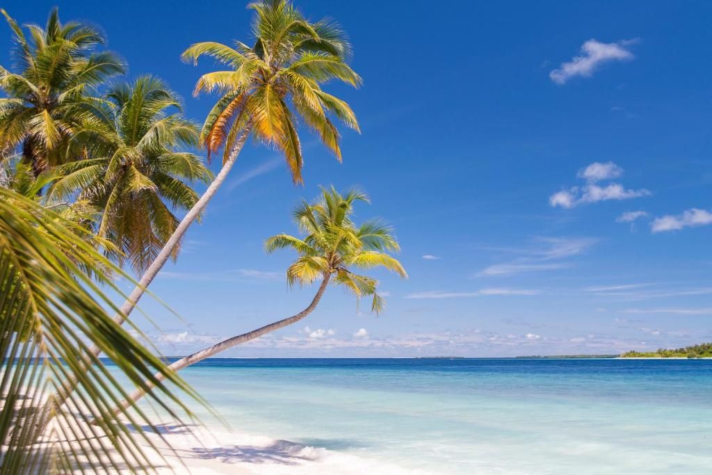 Dhonfulhafi Beach View & Spa фото 59