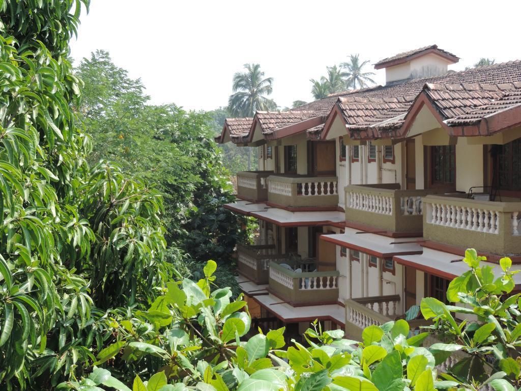 Highland Beach Resort фото 5