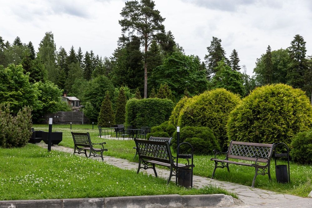 Парк-отель «Repino Cronwell Park Hotel» фото 38