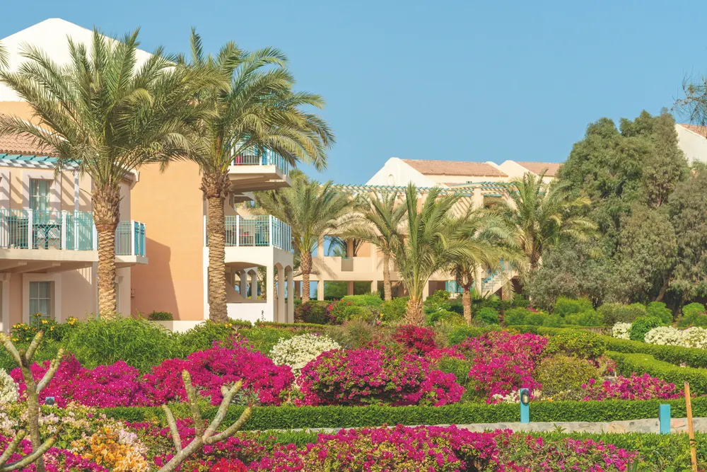 Movenpick Resort & Spa El Gouna фото 67
