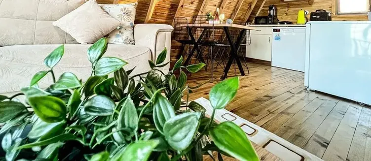 Фото отеля Asli Bungalow