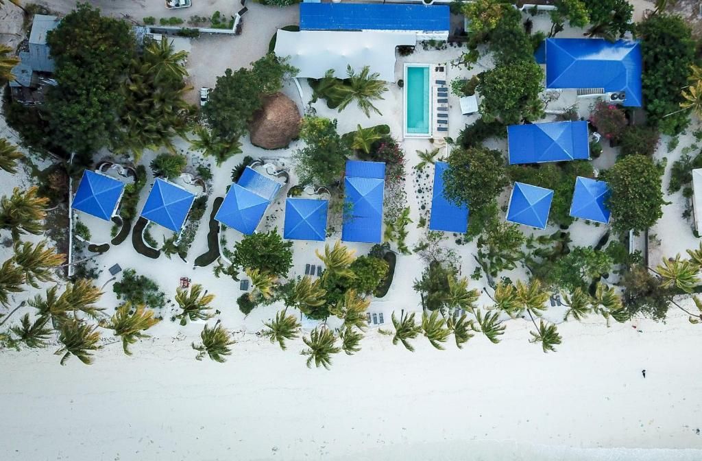 Indigo Beach Zanzibar Hotel фото 42