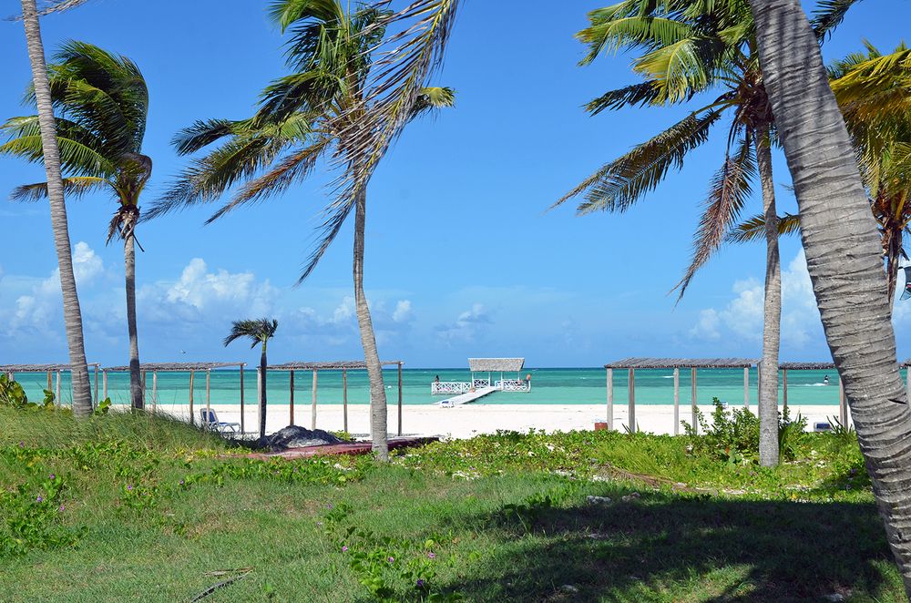 Gran Caribe Club Cayo Guillermo фото 75