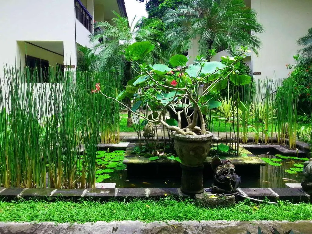 Legian Paradiso Hotel фото 48