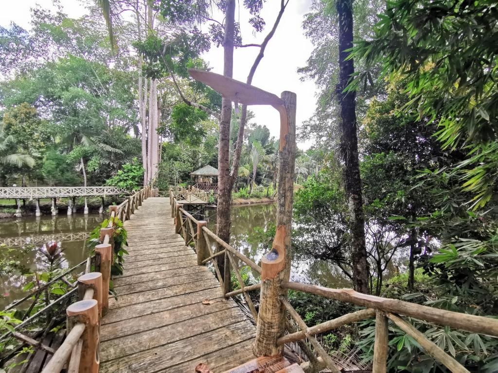 Sepilok Jungle Resort фото 22