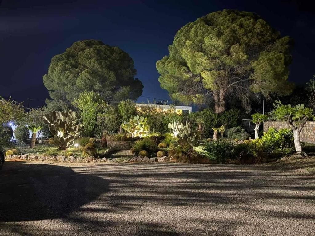 George Beach Studios фото 6