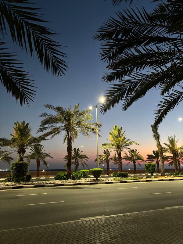 Rove Al Marjan Island фото 100