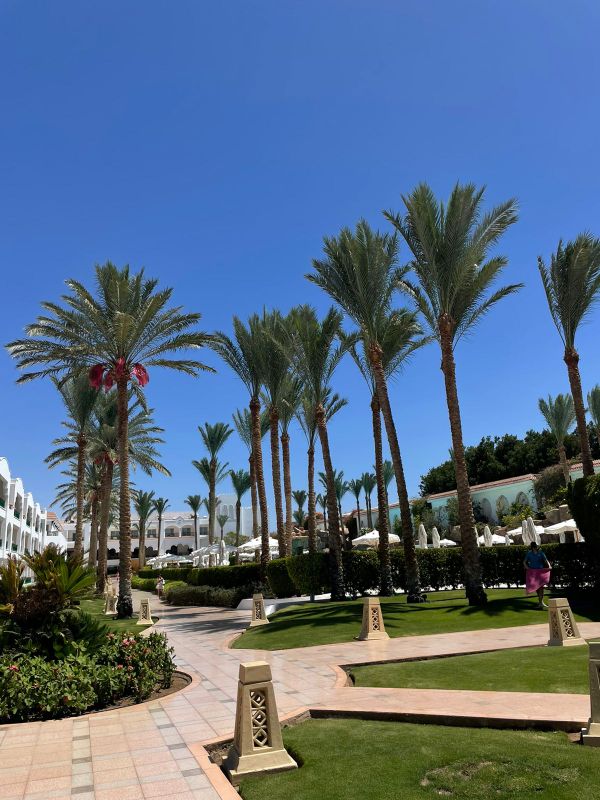 Baron Palms Sharm El Sheikh (Adults Only) фото 40