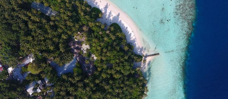 Фото отеля Biyadhoo Island Resort