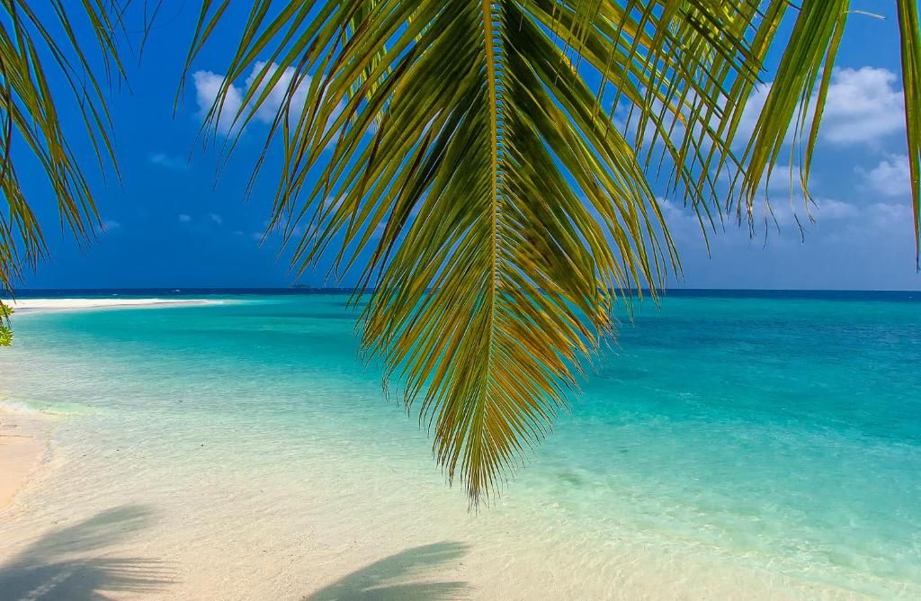 Robinson Club Maldives (Adults Only) фото 29