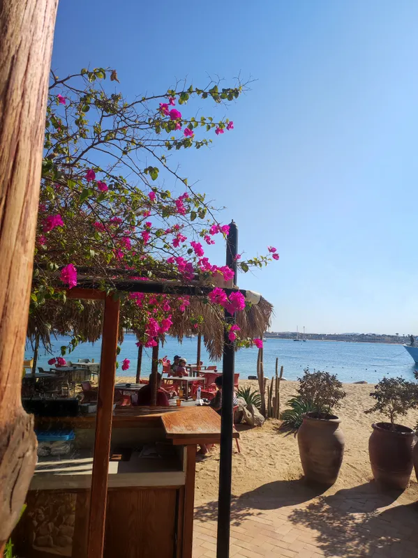 Fort Arabesque Resort, Spa & Villas фото 34