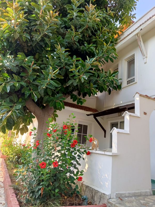 Senza Garden Holiday Club фото 180