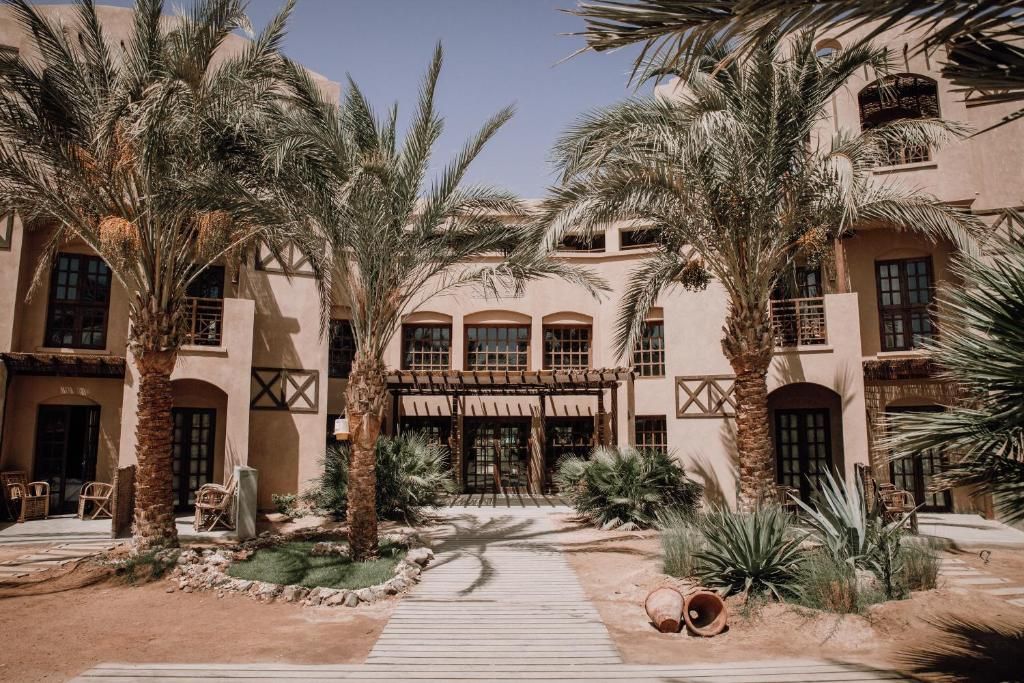 Cook's Club El Gouna (Adults Only) фото 24