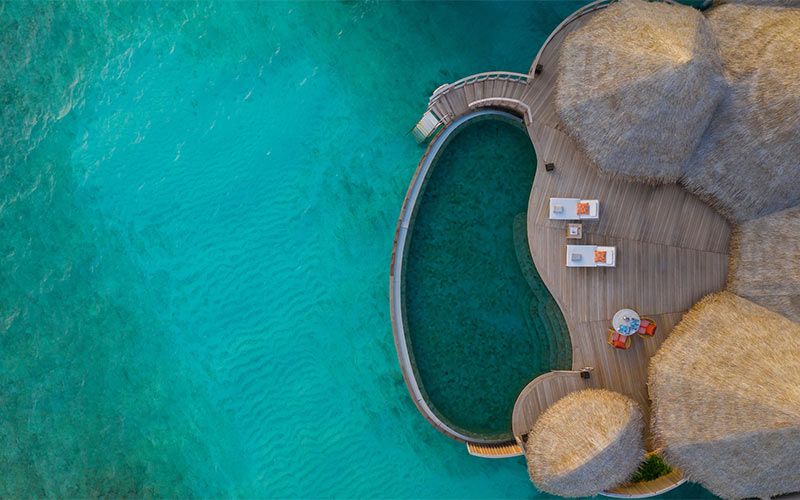 The Nautilus Beach & Ocean Houses Maldives фото 46