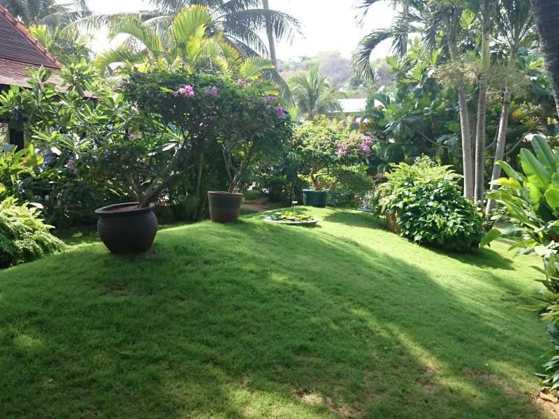 Sunshine Beach Resort фото 5
