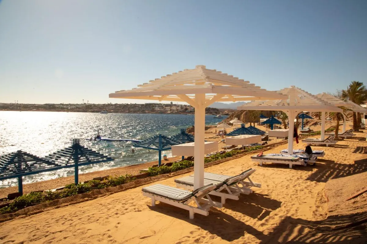 Grand Oasis Resort фото 6