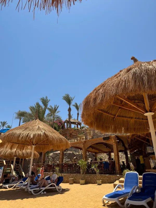 Pickalbatros Luxury Suites фото 135