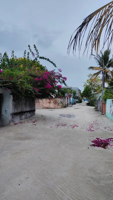 IHaven Thulusdhoo фото 15