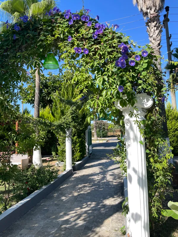 Hotel Dream of Side фото 68