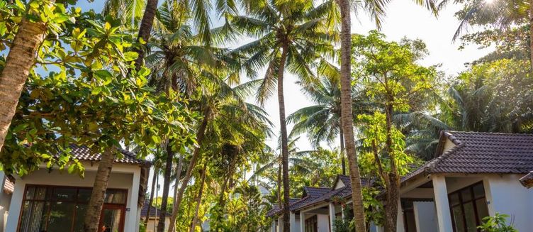 Фото отеля Nhat Lan Resort