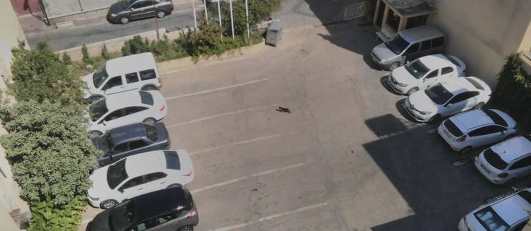 Фото отеля Hotel Baylan Izmir
