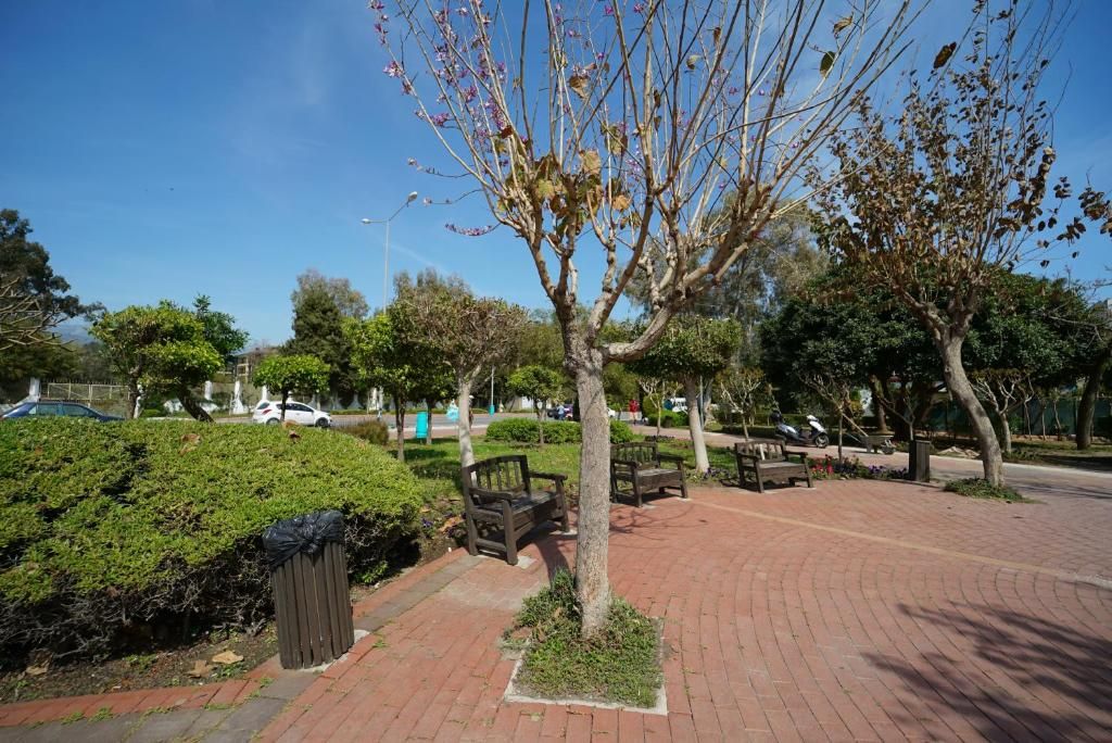Alanya Risus Park Hotel фото 70