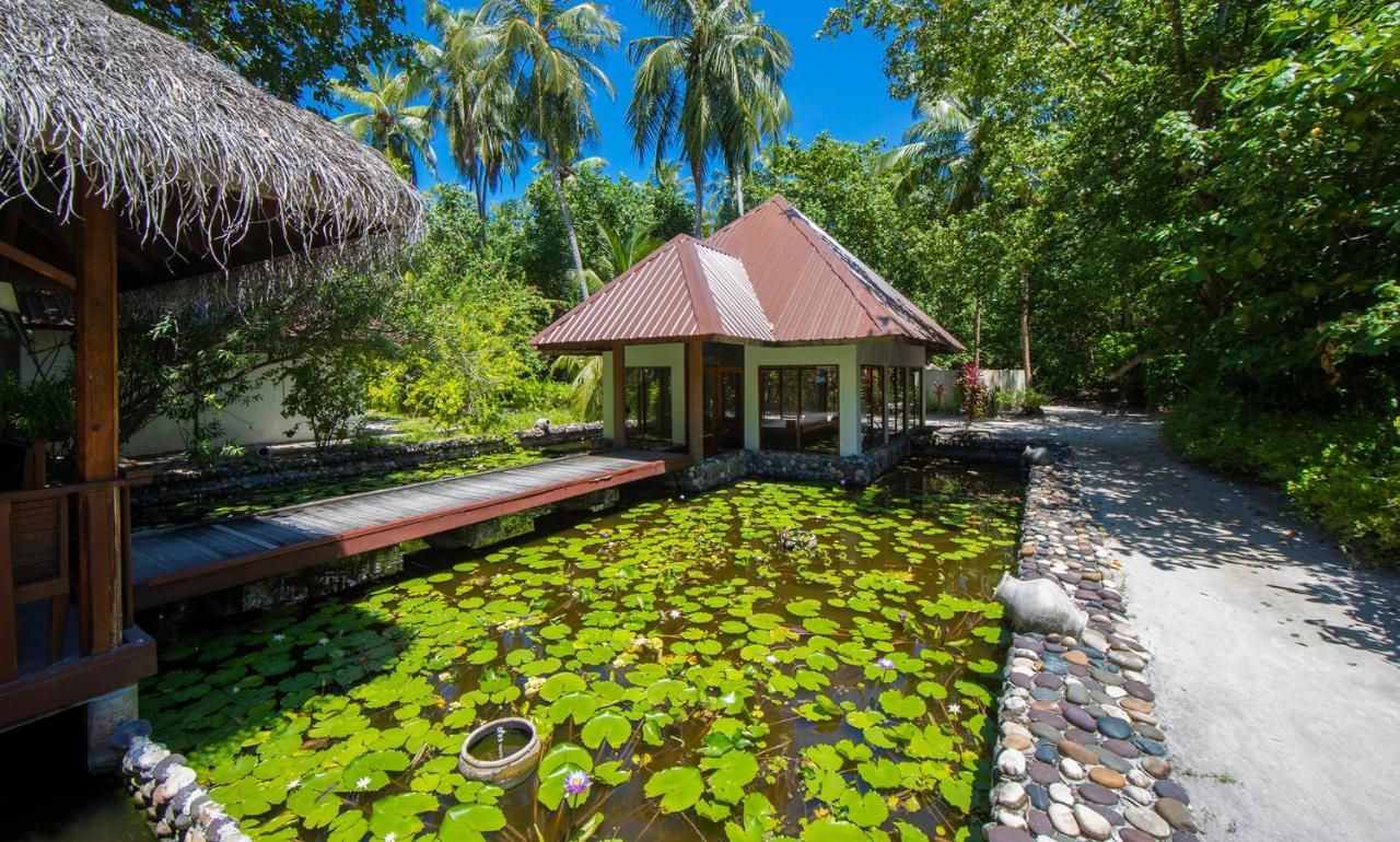 Filitheyo Island Resort фото 57