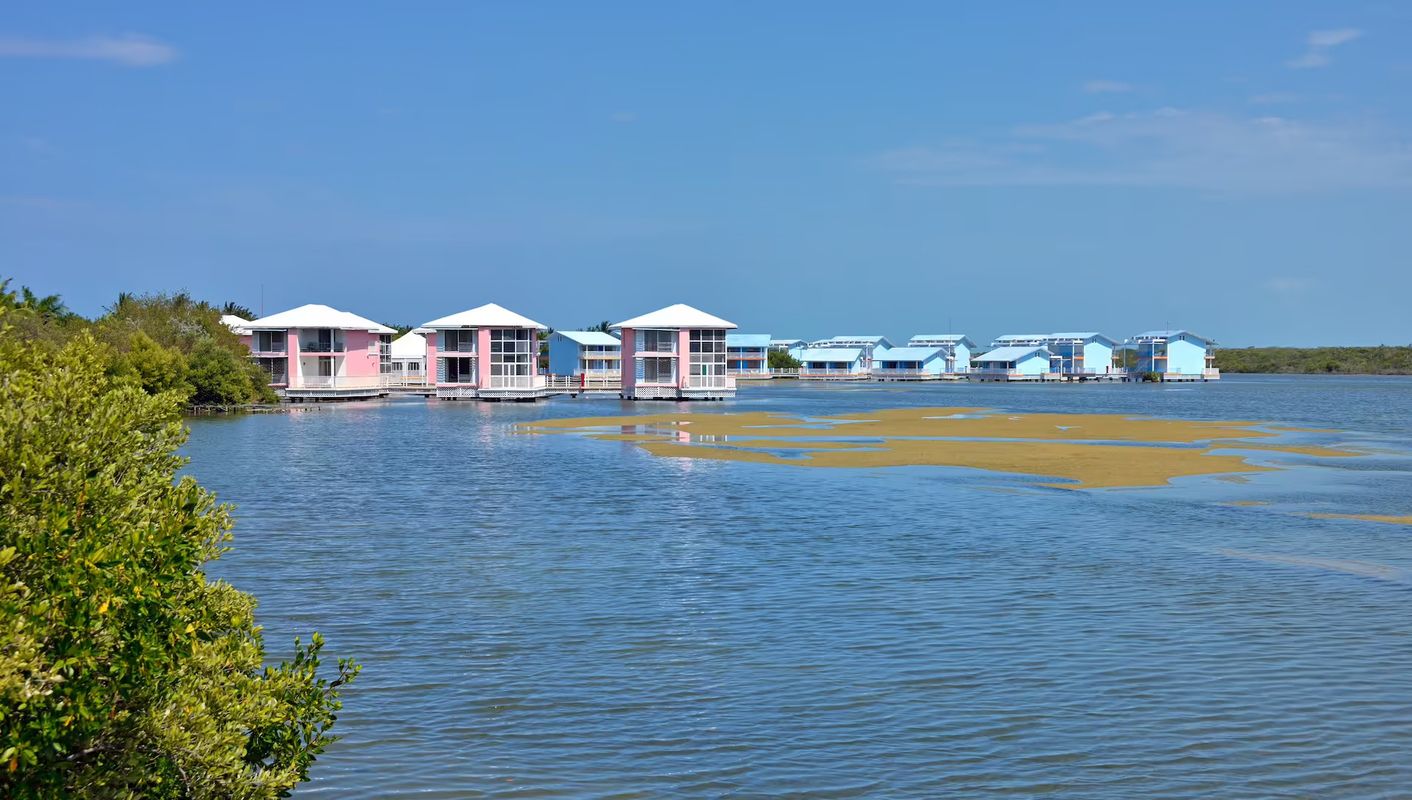 Melia Cayo Coco (Adults Only 18+) фото 58
