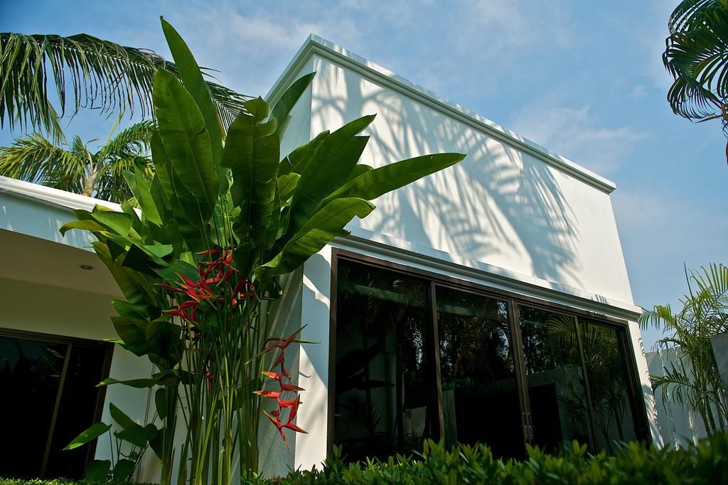 Coconut Grove Boutique Residence фото 12