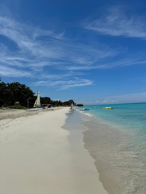 Melia Las Americas (Adults Only) фото 79
