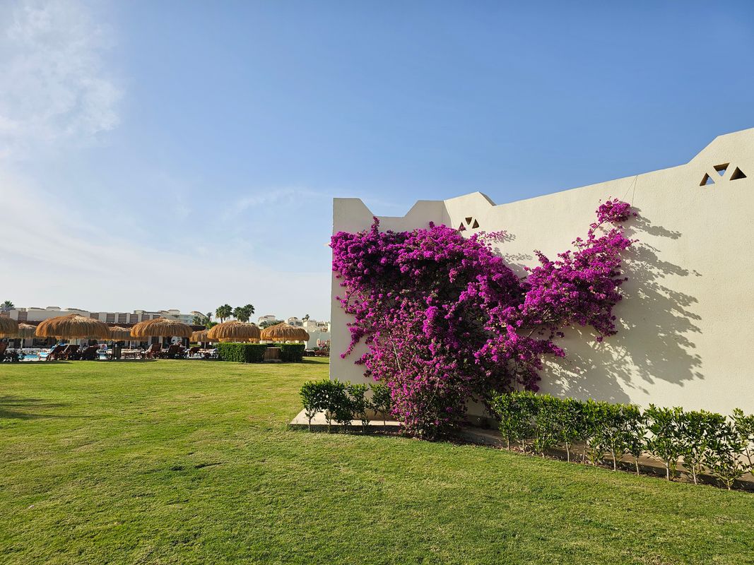 Xanadu Club Makadi Bay фото 83