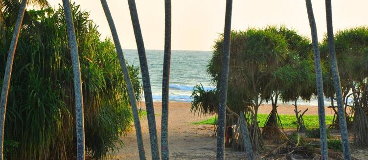 Фото отеля Ocean View