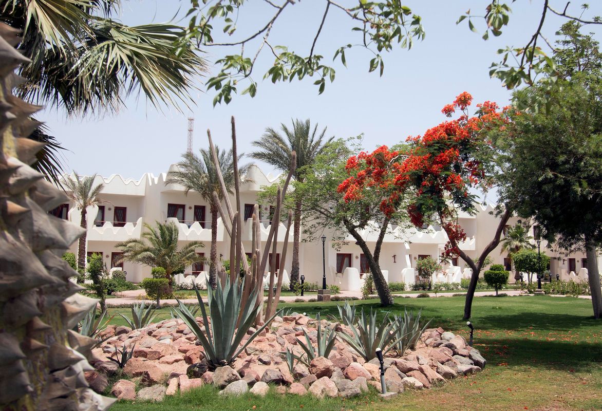 Swiss Inn Resort Dahab фото 22