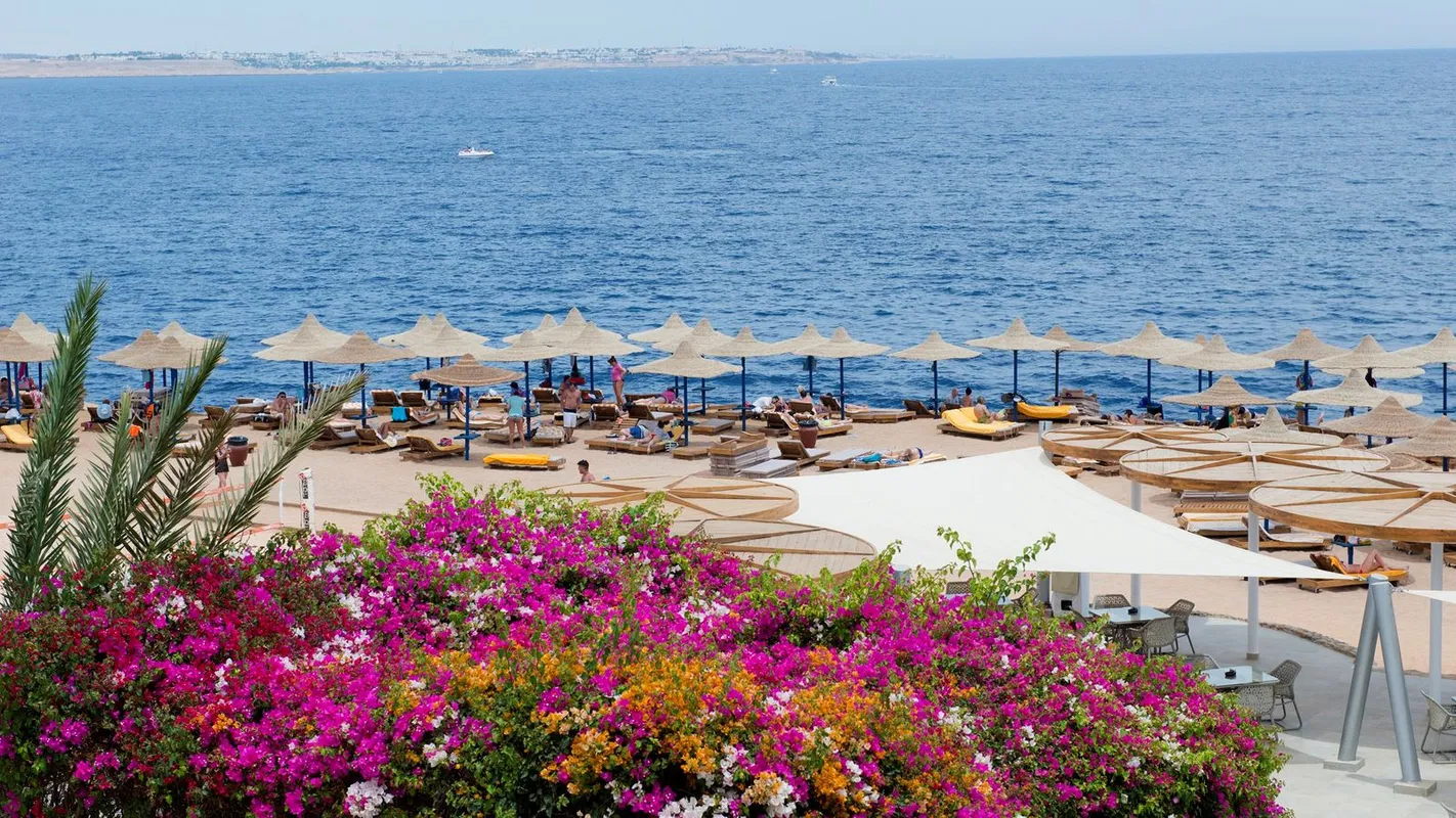 Amphoras Blu Hotel (Adults Only) фото 8