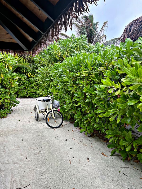 NOOE Maldives Kunaavashi фото 30